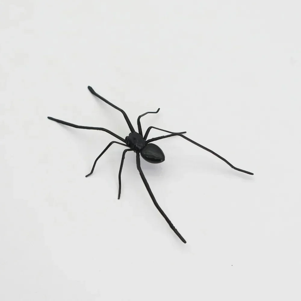 Cat Whiskers