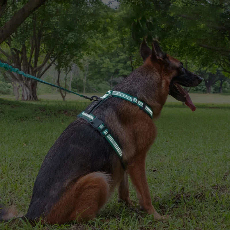 MeowVistaCN Adjustable H Shaped Dog Harness Nylon Reflective No Pull
