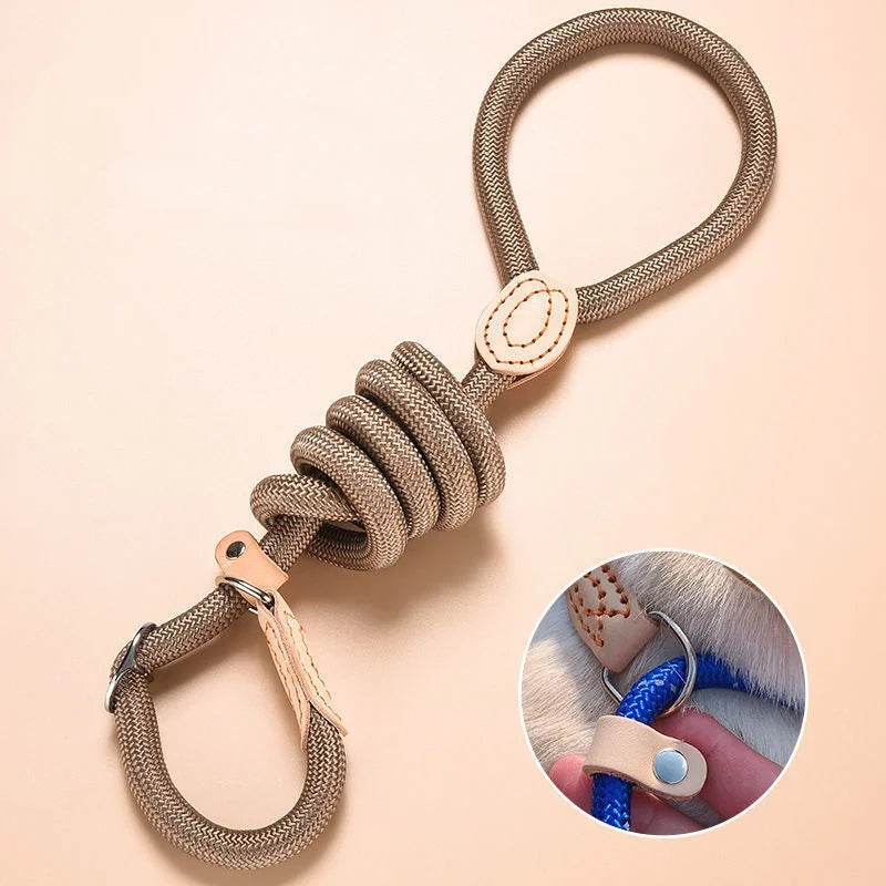 🐕 Adjustable Dog Harness & Leash Set – Lightweight Nylon Collar Lead 🐾