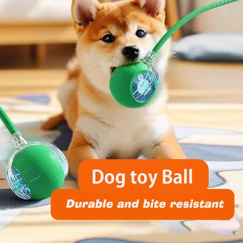 Petflx Smart Rolling Ball – Interactive Pet Toy