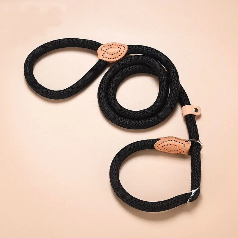 🐕 Adjustable Dog Harness & Leash Set – Lightweight Nylon Collar Lead 🐾