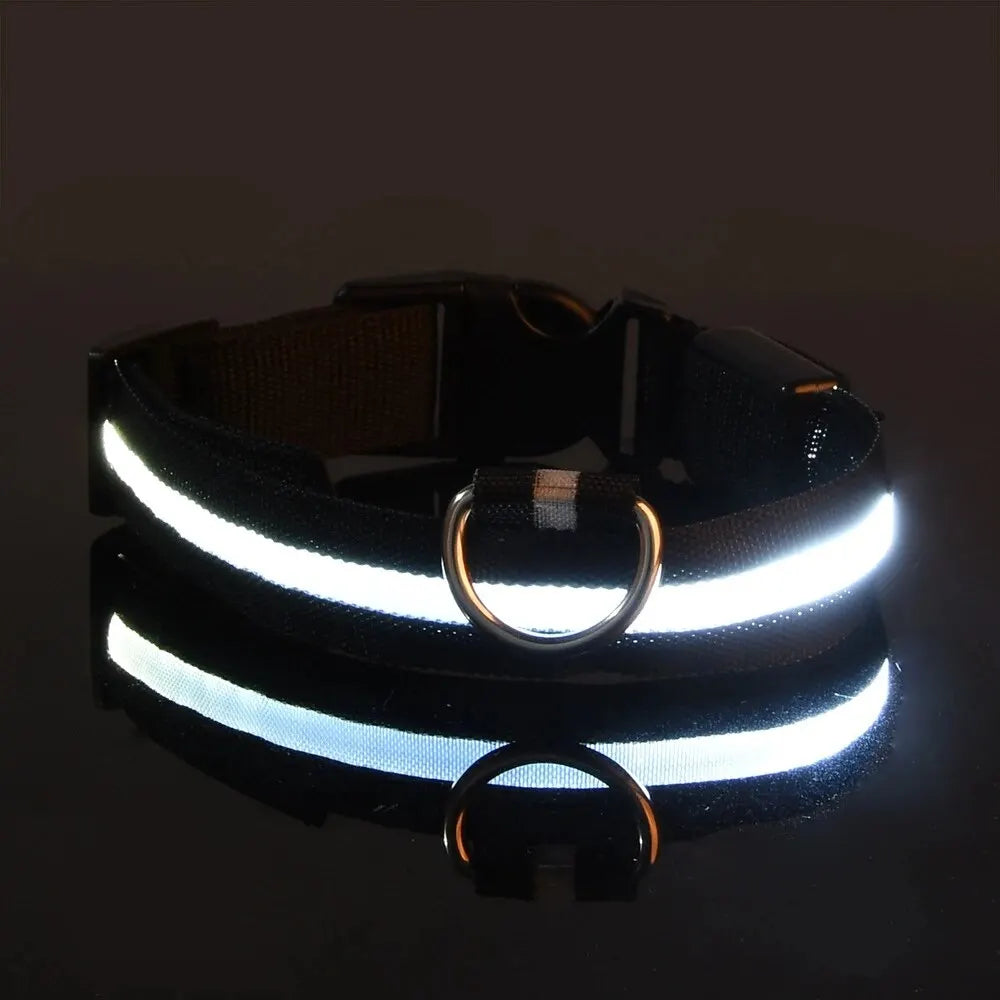 Glow LED Pet Collar USB Rechargeable