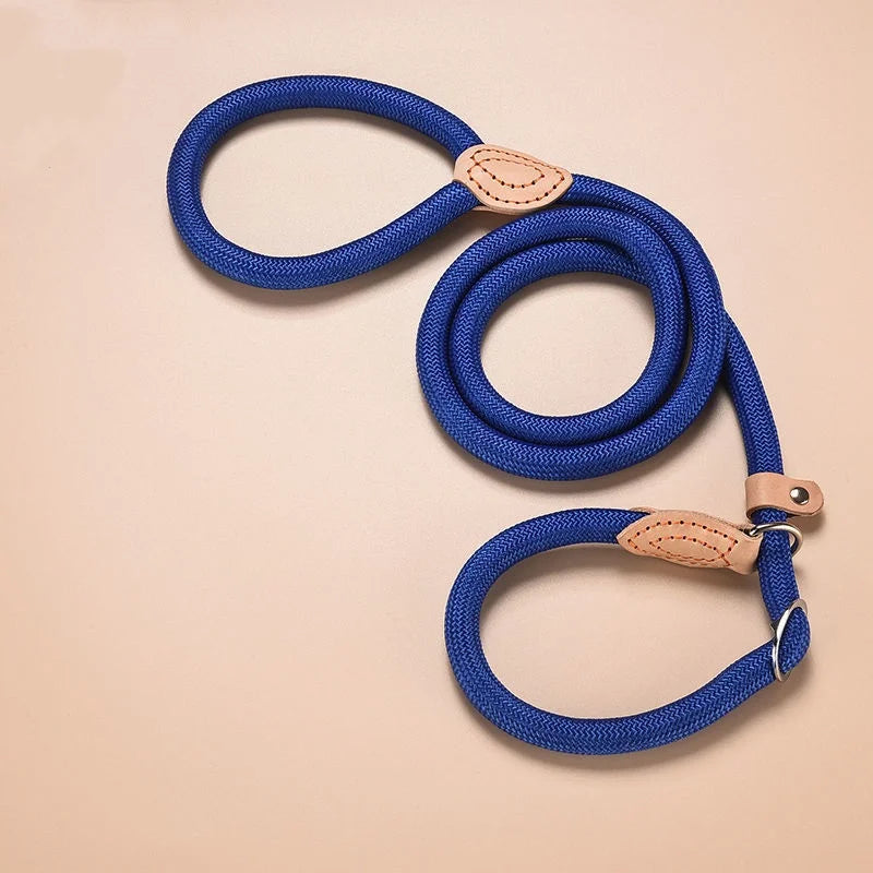 🐕 Adjustable Dog Harness & Leash Set – Lightweight Nylon Collar Lead 🐾