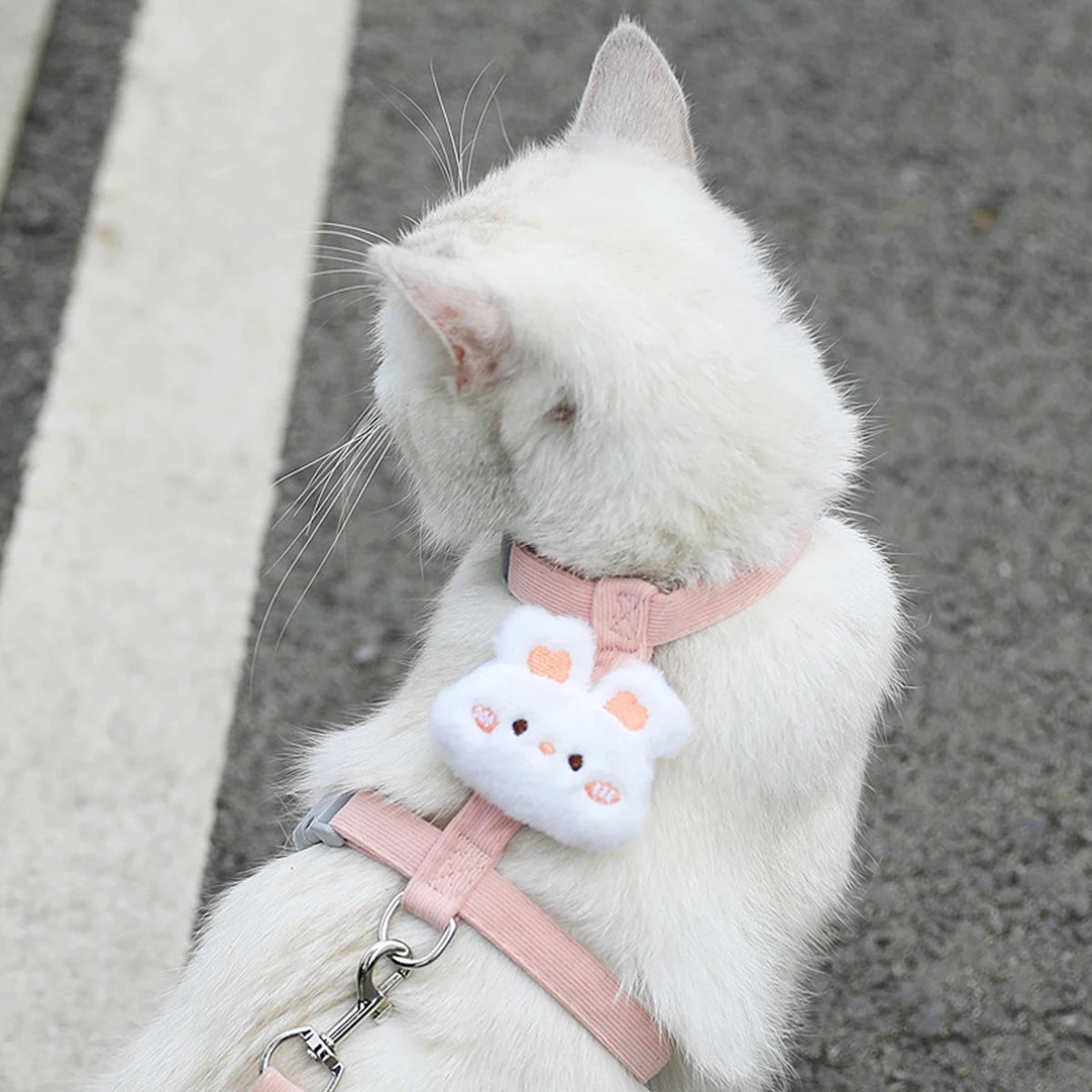 FurencePet™ BloomWalk - Adjustable Breathable Cat Harness & Leash Set