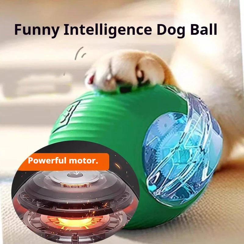 Petflx Smart Rolling Ball – Interactive Pet Toy