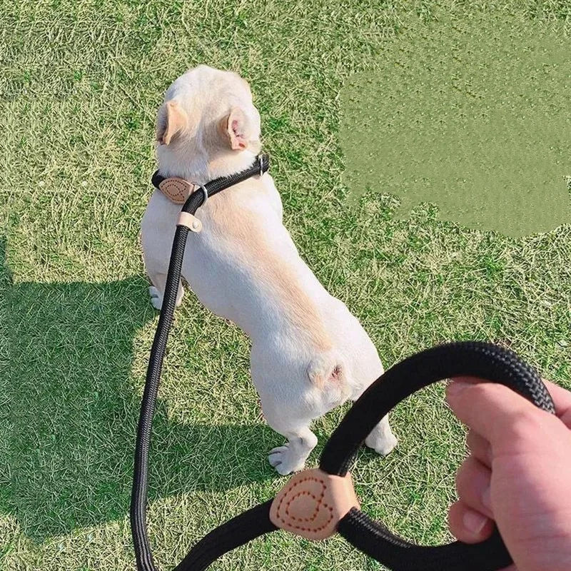 🐕 Adjustable Dog Harness & Leash Set – Lightweight Nylon Collar Lead 🐾