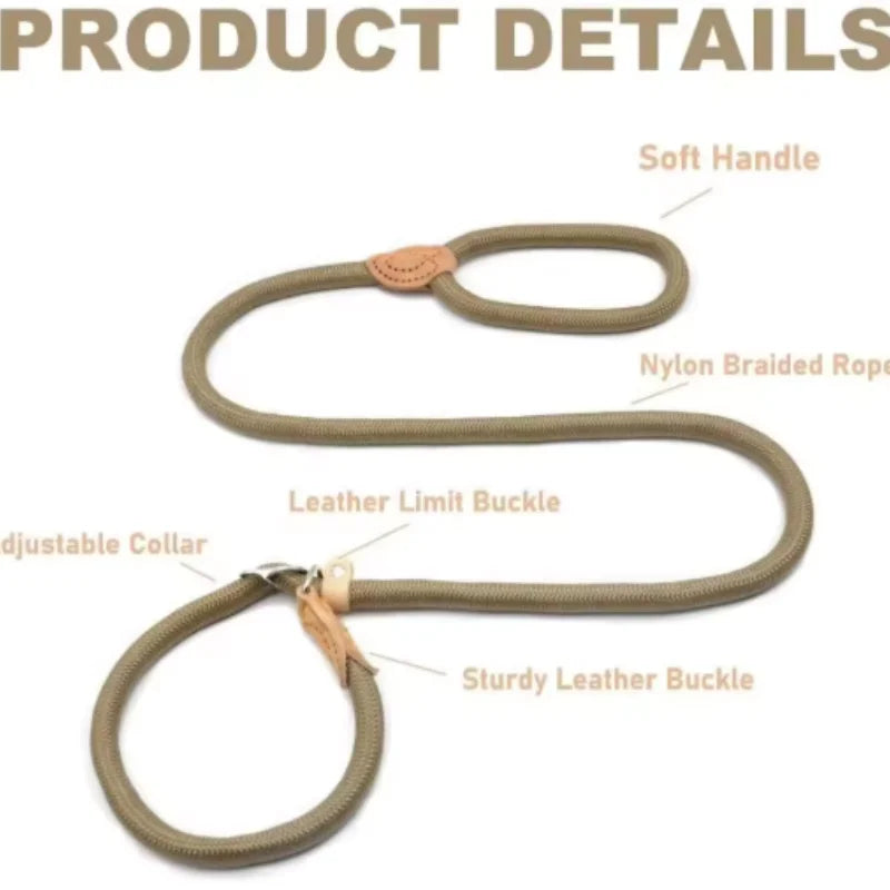 🐕 Adjustable Dog Harness & Leash Set – Lightweight Nylon Collar Lead 🐾