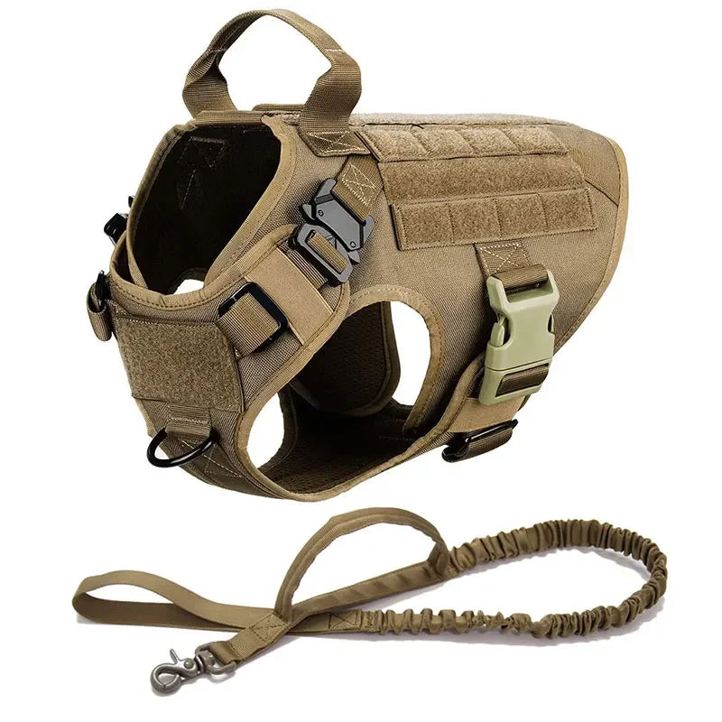 Training Harness for Small to Extra Large Dogs
