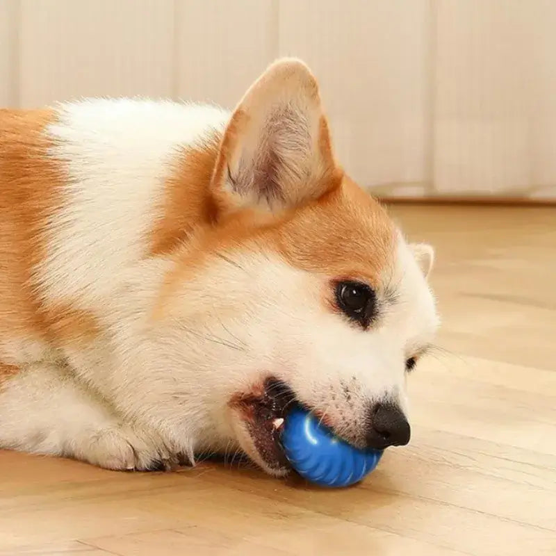 Interactive Dog Ball Toy – USB Rechargeable Moving Toy