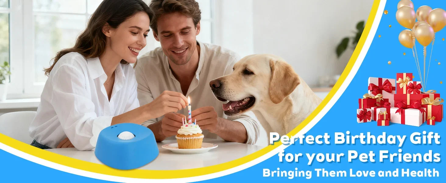 Anti-Anxiety Dog Slow Feeder Bowl | Non-Slip Lick Mat & Toy