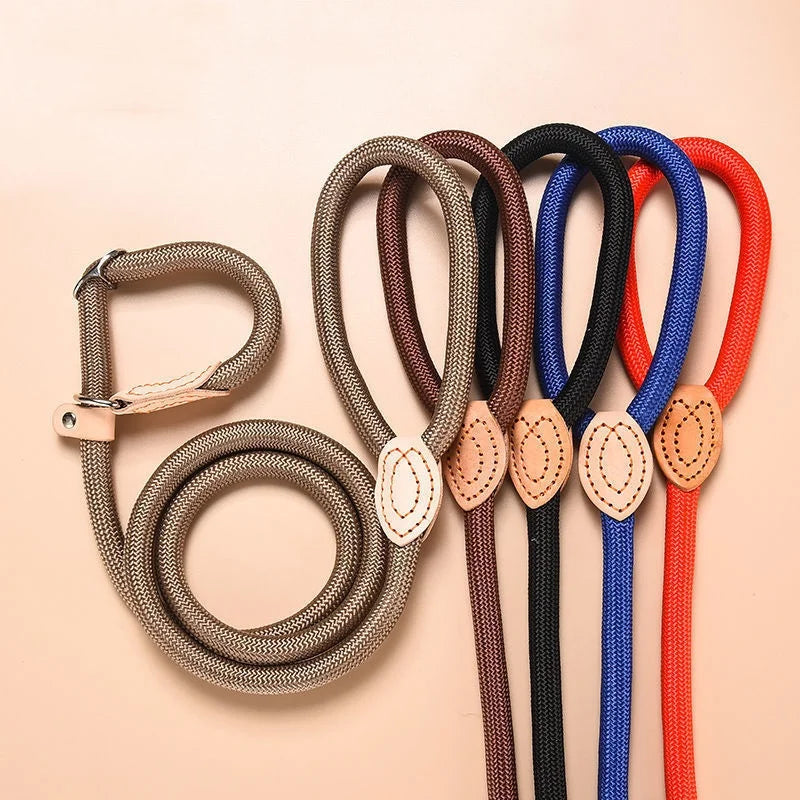 🐕 Adjustable Dog Harness & Leash Set – Lightweight Nylon Collar Lead 🐾