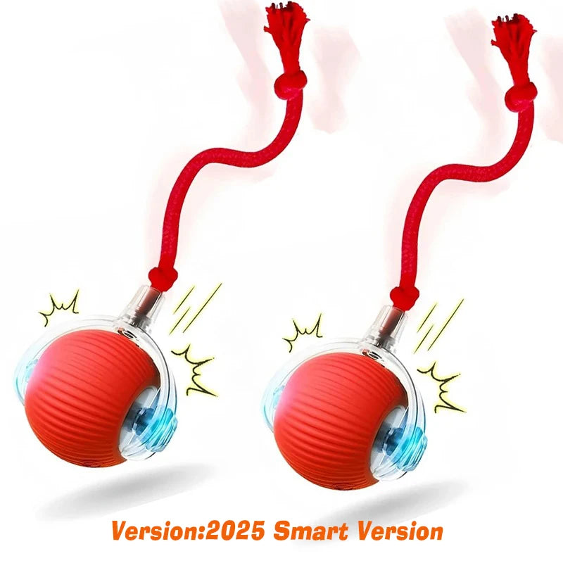 Petflx Smart Rolling Ball – Interactive Pet Toy