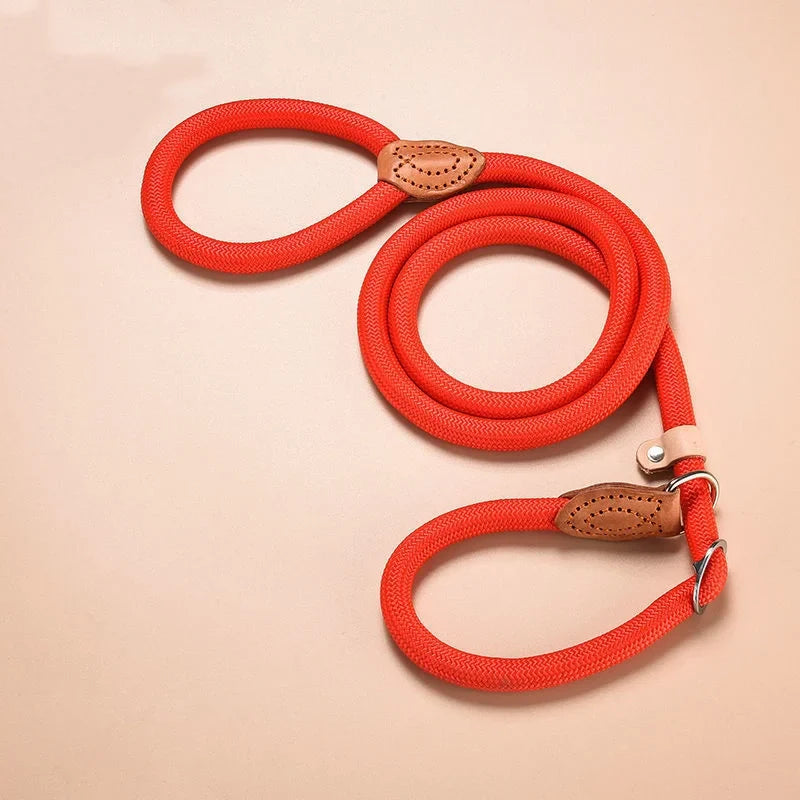 🐕 Adjustable Dog Harness & Leash Set – Lightweight Nylon Collar Lead 🐾