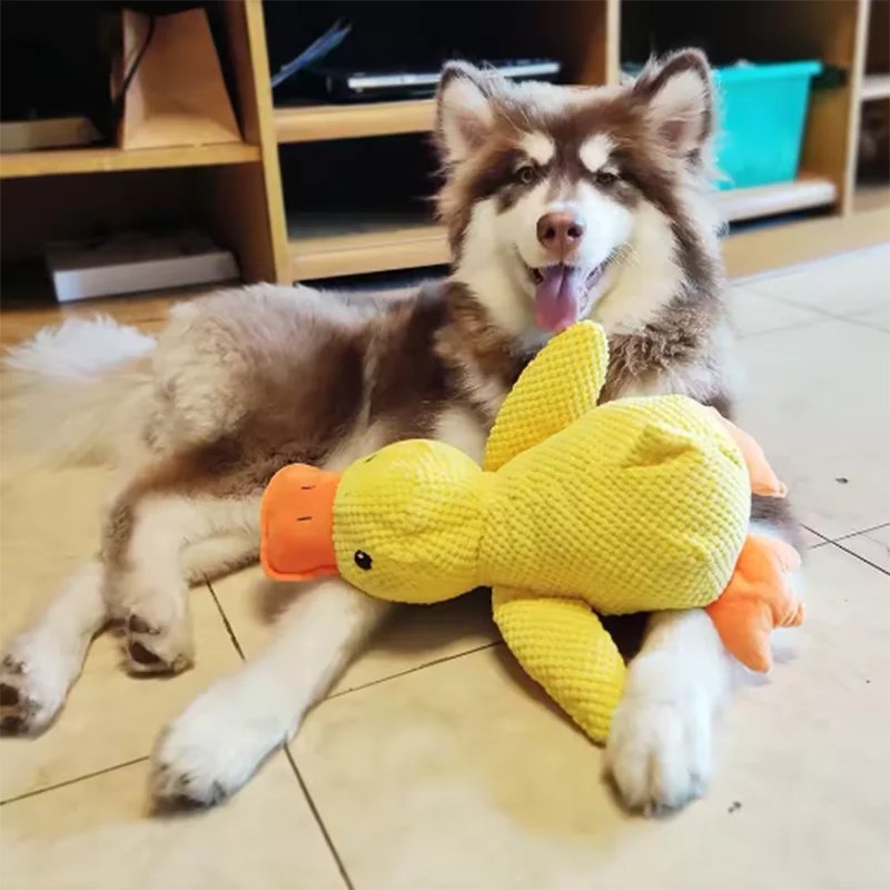Duck Bite Resistant Dog Interactive Plush Toy