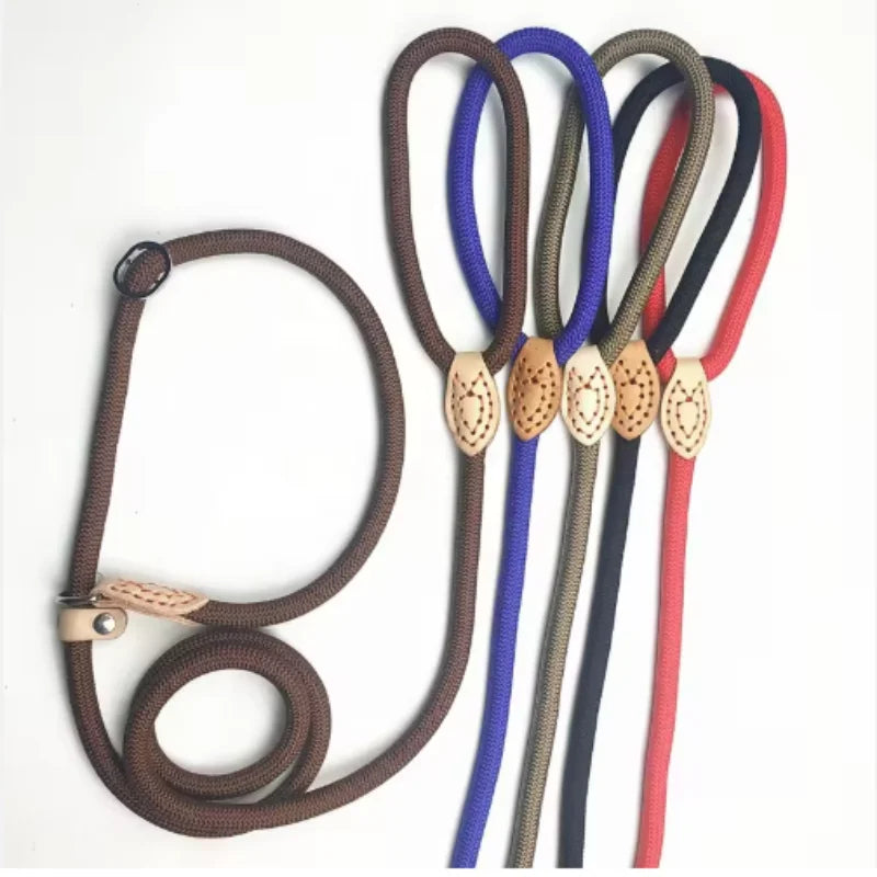 🐕 Adjustable Dog Harness & Leash Set – Lightweight Nylon Collar Lead 🐾