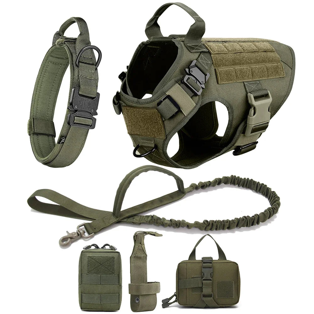 Training Harness for Small to Extra Large Dogs