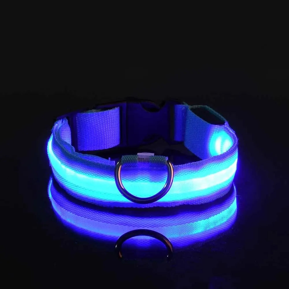Glow LED Pet Collar USB Rechargeable