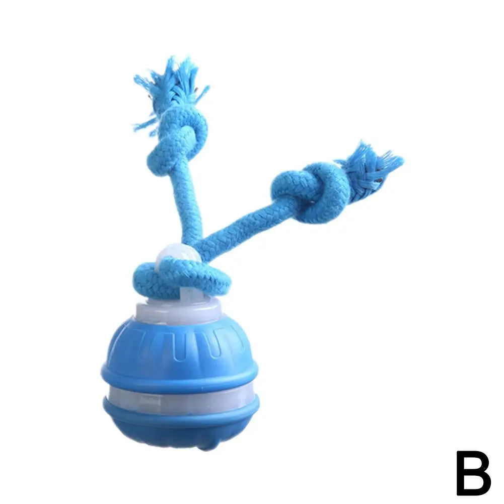 Interactive Dog Ball Toy – USB Rechargeable Moving Toy