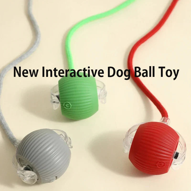 Petflx Smart Rolling Ball – Interactive Pet Toy