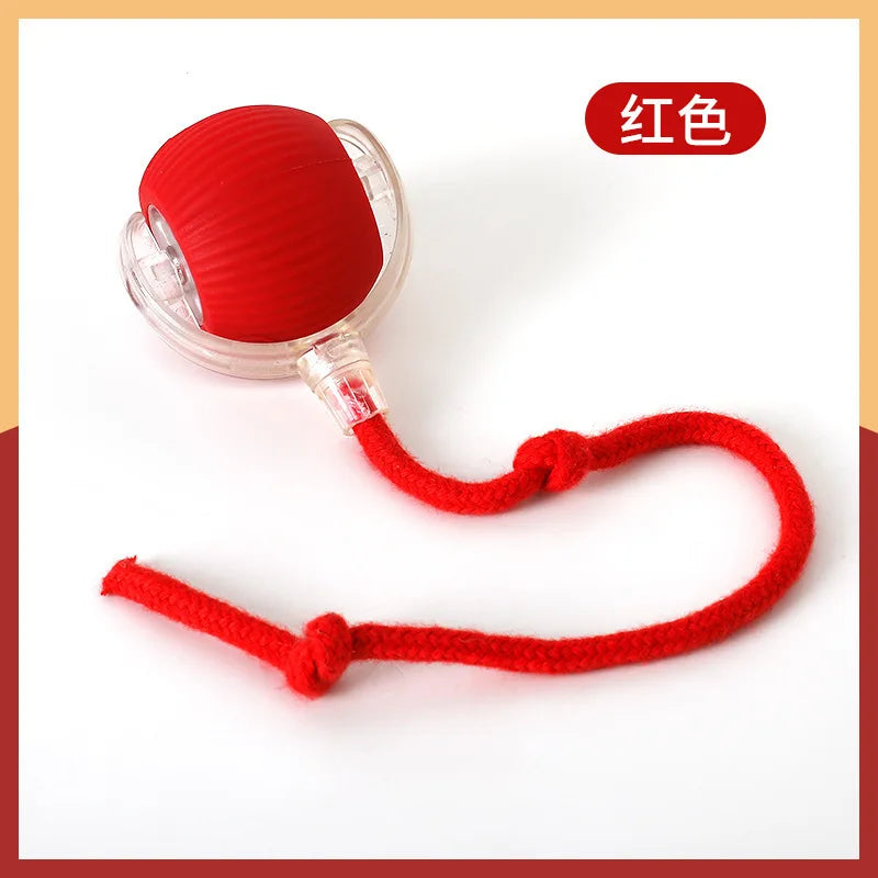 Buy One Get One Free | AutoPaws - Self-Moving Action Toy