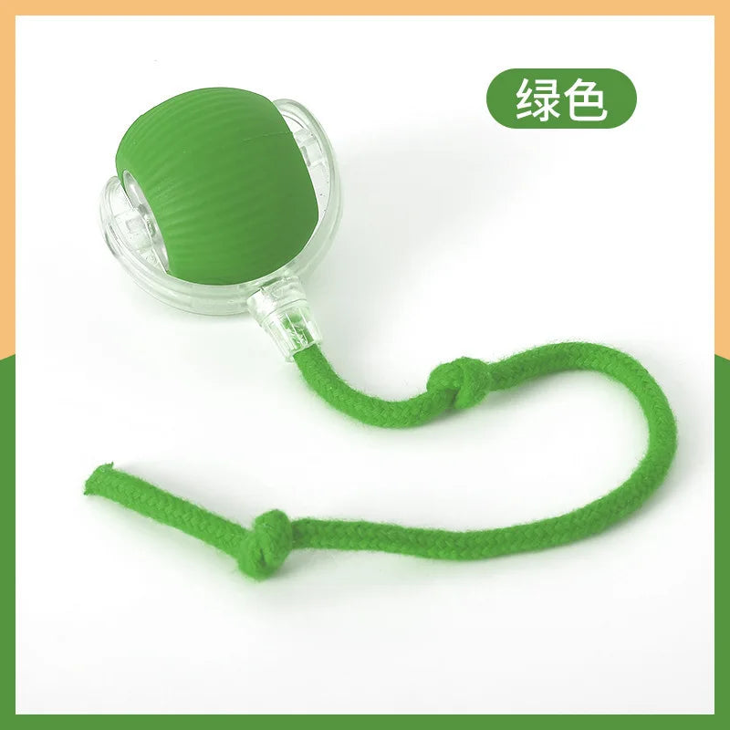 Buy One Get One Free | AutoPaws - Self-Moving Action Toy