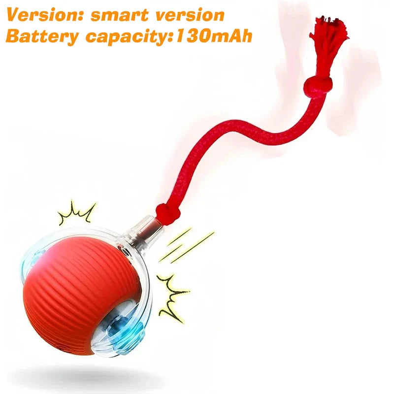 Petflx Smart Rolling Ball – Interactive Pet Toy