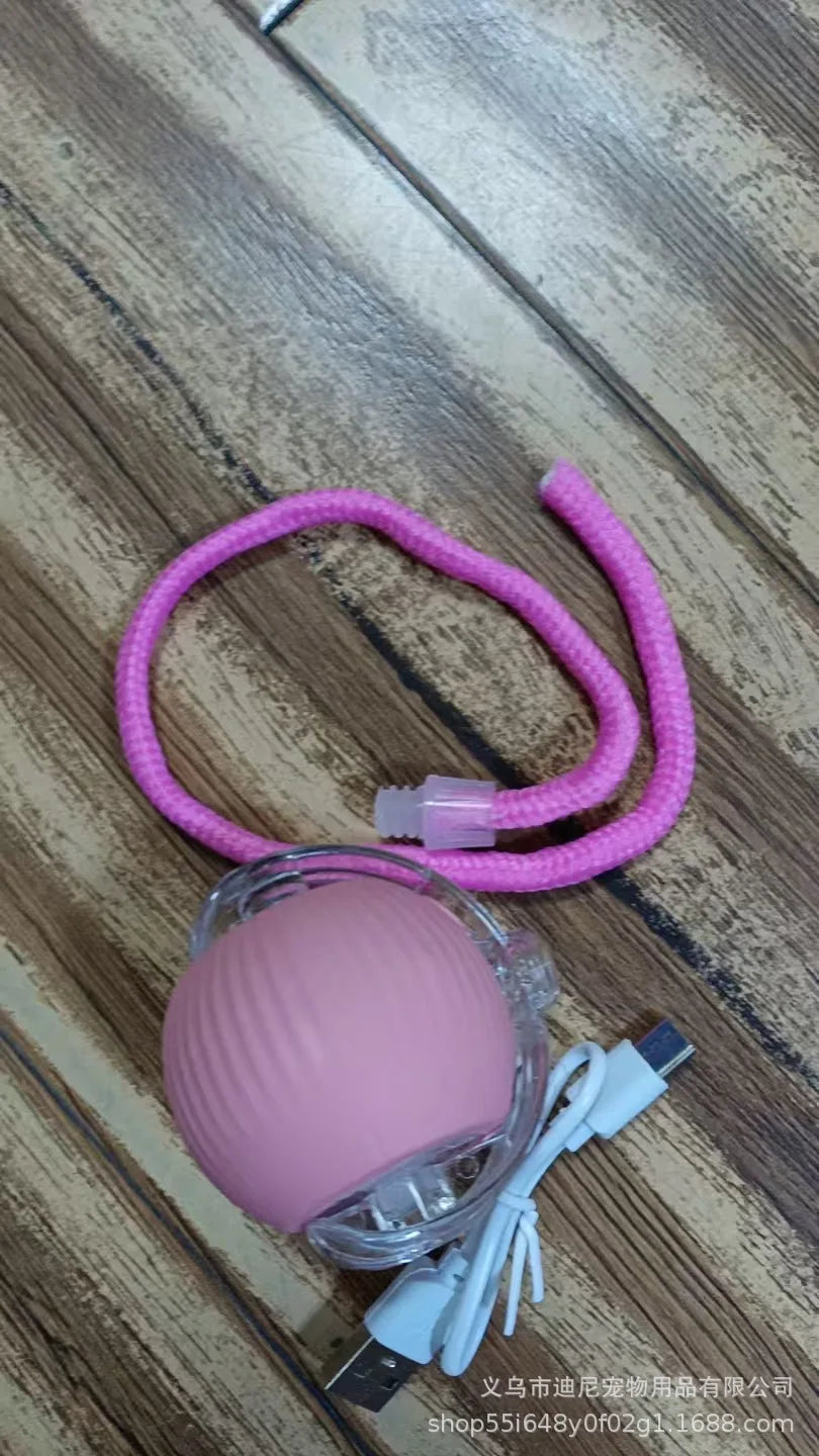 Buy One Get One Free | AutoPaws - Self-Moving Action Toy