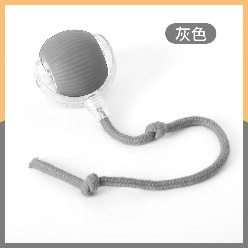 Buy One Get One Free | AutoPaws - Self-Moving Action Toy