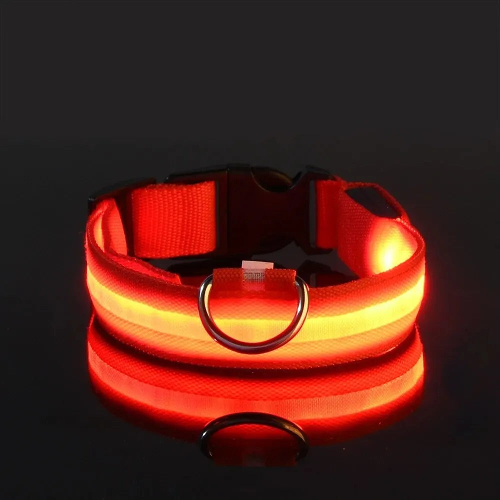 Glow LED Pet Collar USB Rechargeable