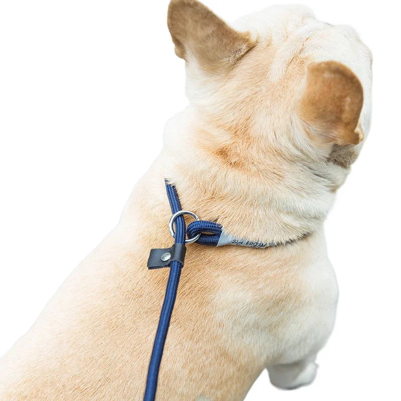 🐕 Adjustable Dog Harness & Leash Set – Lightweight Nylon Collar Lead 🐾