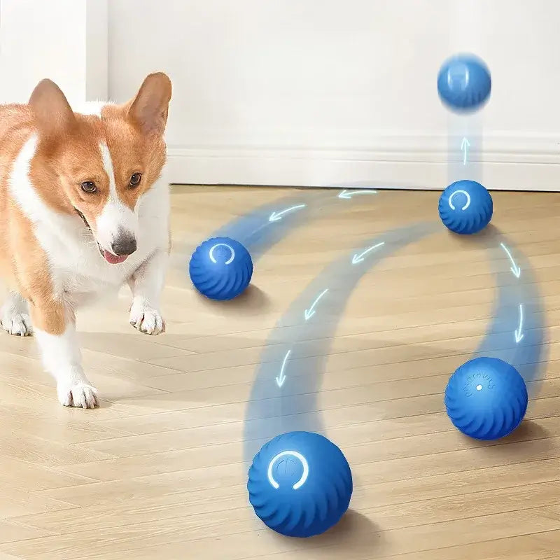 Interactive Dog Ball Toy – USB Rechargeable Moving Toy