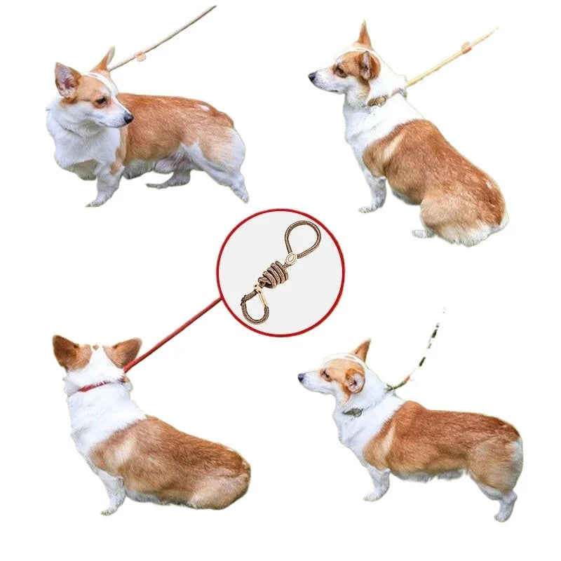 🐕 Adjustable Dog Harness & Leash Set – Lightweight Nylon Collar Lead 🐾
