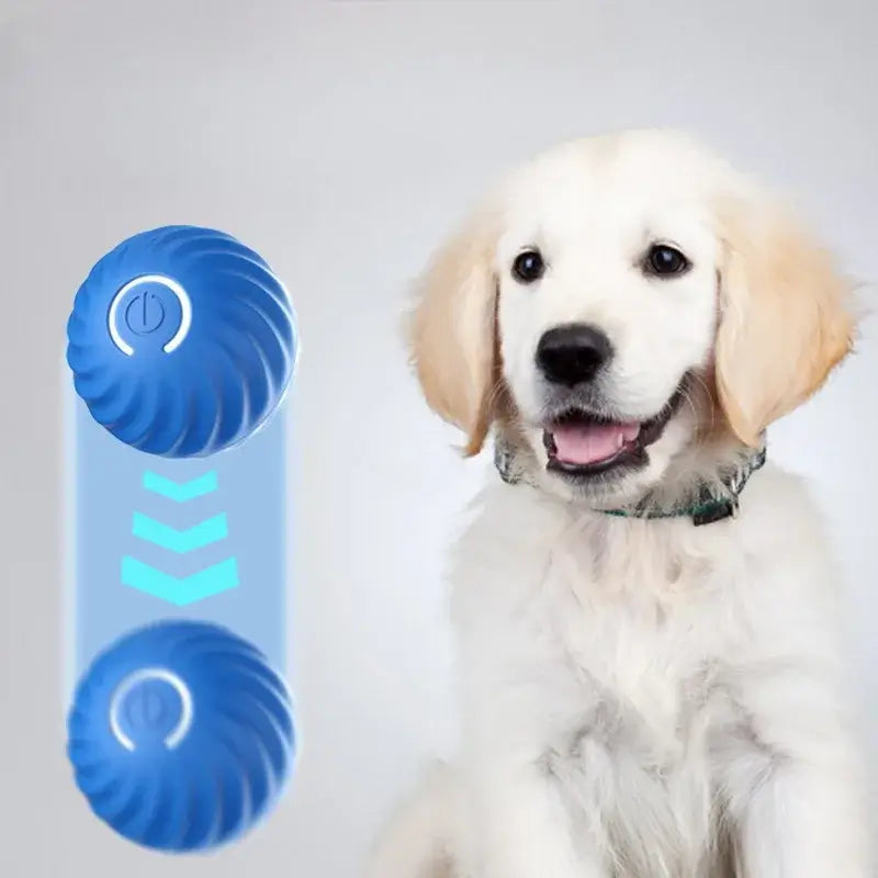 Interactive Dog Ball Toy – USB Rechargeable Moving Toy