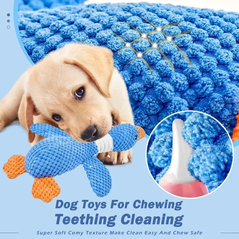 Blue Goose Pet Toy for Dogs & Cats Double Color Plush Sound Toy Tough Bite Resistant Chew Toy Soft Stuffed Interactive Squeaky T