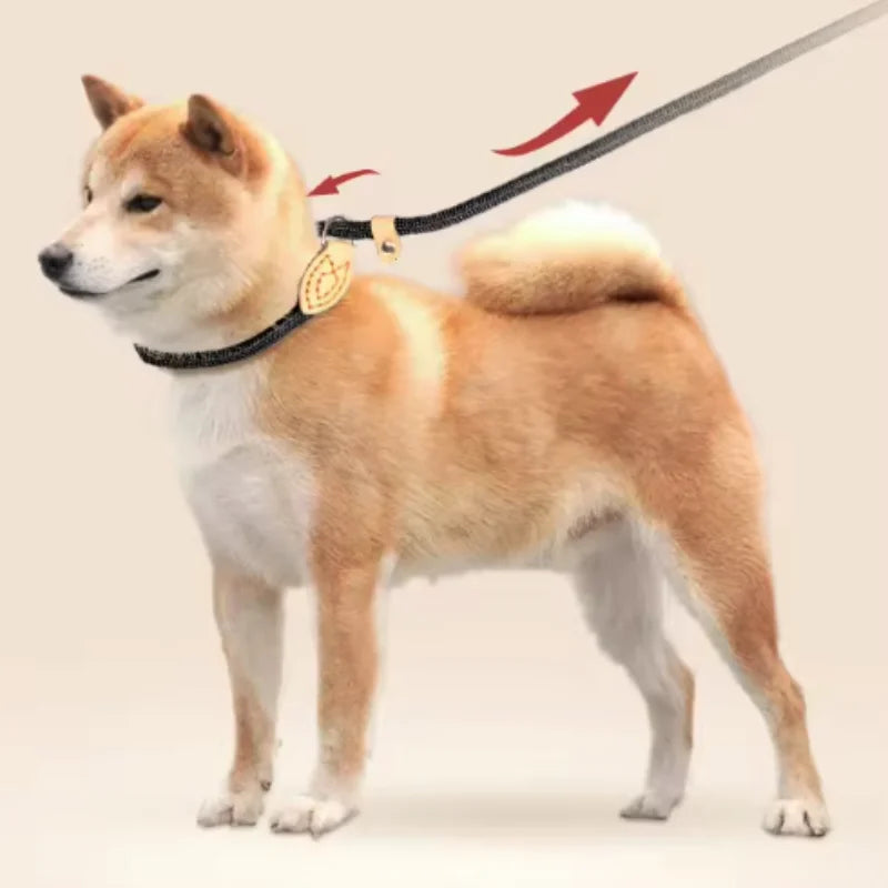 🐕 Adjustable Dog Harness & Leash Set – Lightweight Nylon Collar Lead 🐾