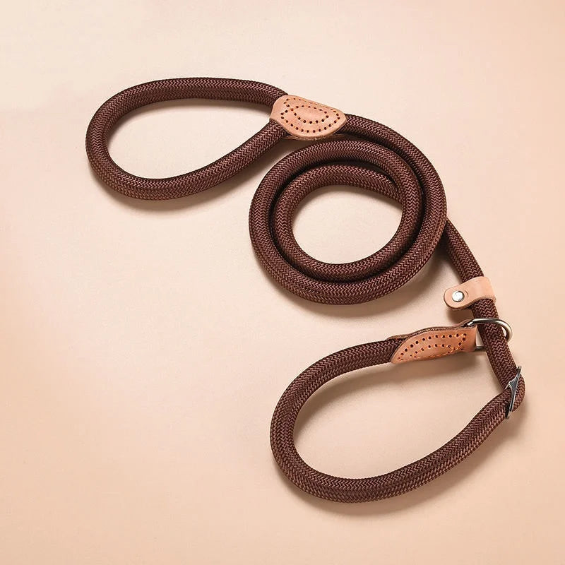 🐕 Adjustable Dog Harness & Leash Set – Lightweight Nylon Collar Lead 🐾