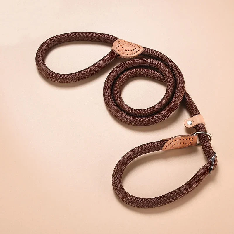 🐕 Adjustable Dog Harness & Leash Set – Lightweight Nylon Collar Lead 🐾