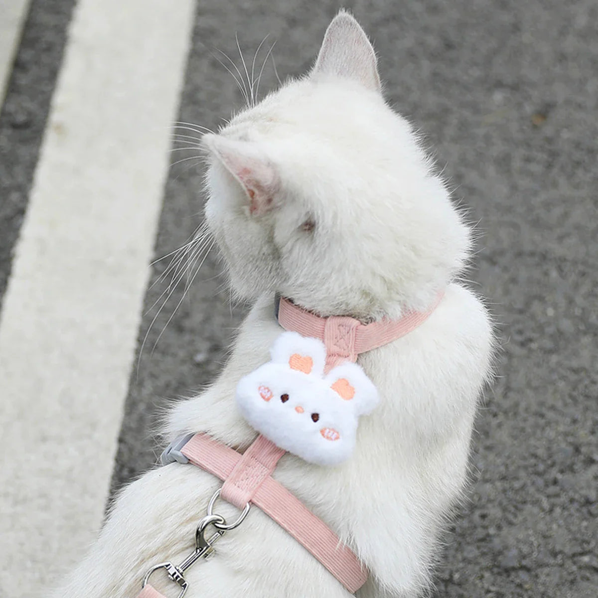 FurencePet™ BloomWalk - Adjustable Breathable Cat Harness & Leash Set