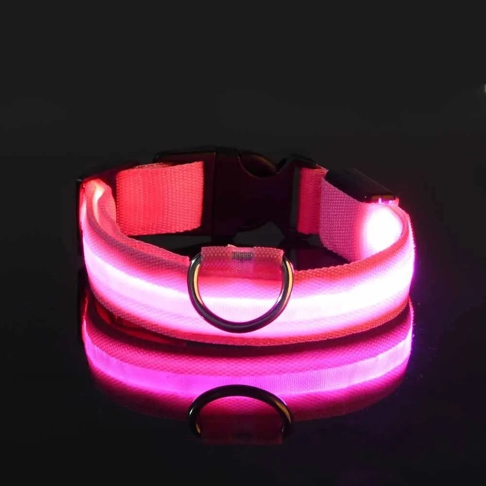 Glow LED Pet Collar USB Rechargeable