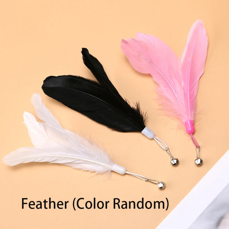 Suction Cup Handheld Cat Feather Toys