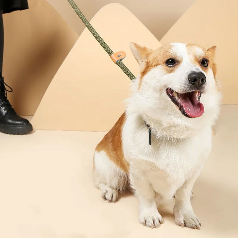 🐕 Adjustable Dog Harness & Leash Set – Lightweight Nylon Collar Lead 🐾