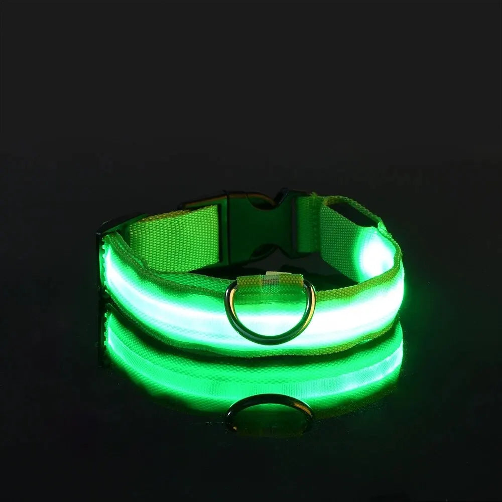 Glow LED Pet Collar USB Rechargeable