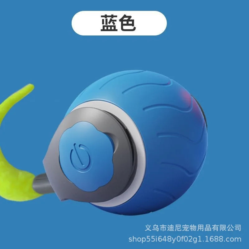 Buy One Get One Free | AutoPaws - Self-Moving Action Toy