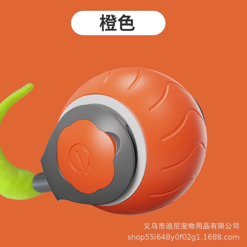 Buy One Get One Free | AutoPaws - Self-Moving Action Toy