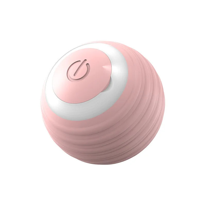 Buy One Get One Free | AutoPaws - Self-Moving Action Toy