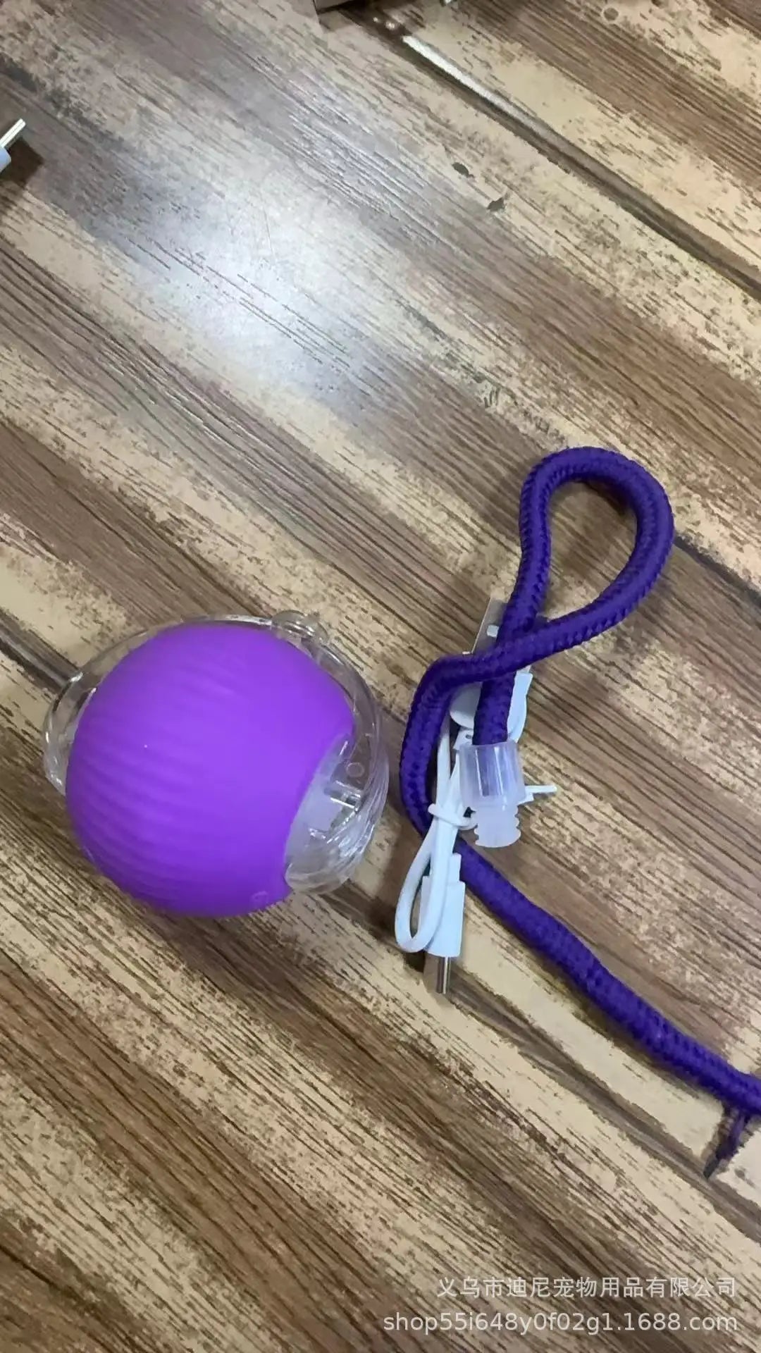 Buy One Get One Free | AutoPaws - Self-Moving Action Toy