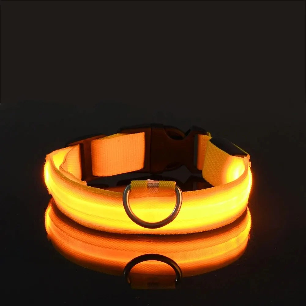 Glow LED Pet Collar USB Rechargeable