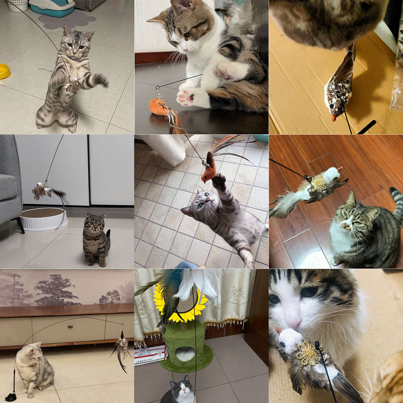 Suction Cup Handheld Cat Feather Toys